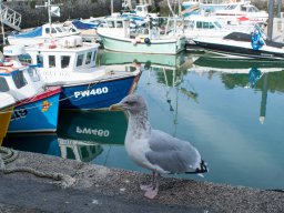 Padstow