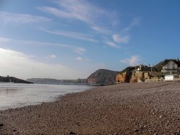 Sidmouth 2011