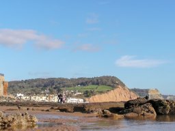 Sidmouth 2011