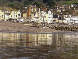 Sidmouth 2011