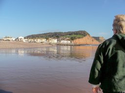 Sidmouth 2011