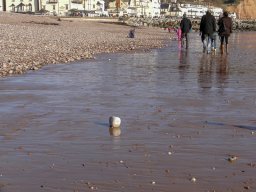 Sidmouth 2011